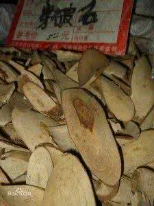 水蛭地龙汤治疗脑梗塞 红龙根汤治疗脑梗塞