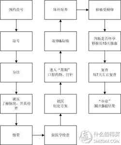 美国试管婴儿流程 试管婴儿的具体流程 美国试管婴儿要注意什么，从试管婴儿流程和治疗说