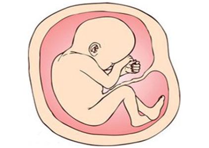 为什么晚上胎动厉害 为什么胎动晚？