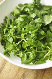 豆瓣菜 豆瓣菜是什么,有什么药用价值