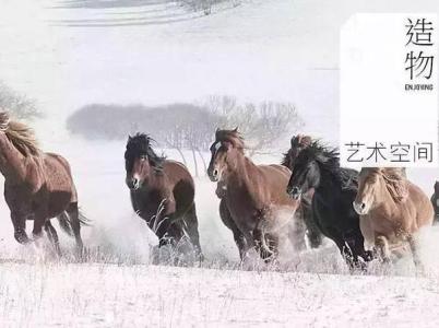 林海雪原主要人物 物道|以梦为马，拍一生的茫茫雪原