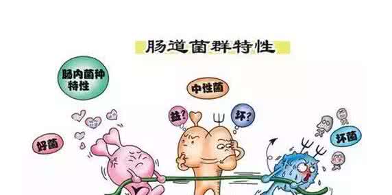 婴儿有必要吃益生菌吗 婴儿有必要吃益生菌吗 益生菌有必要买吗？益生菌的作用