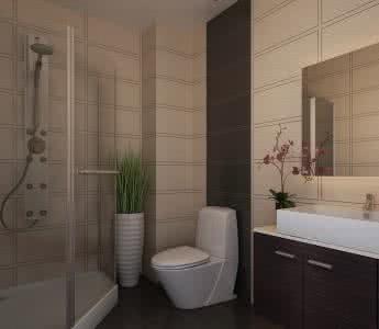 卫生间风水禁忌有哪些 卫生间风水禁忌 卫生间风水禁忌有哪些