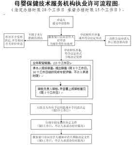母婴保健技术服务总结 母婴保健技术服务总结 母婴保健技术服务工作总结