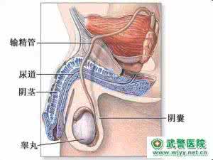 生精阻滞是什么意思？