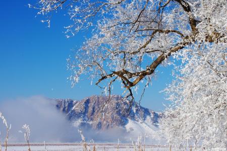 形容雪景的优美句子 形容雪景的优美句子 形容雪景的成语