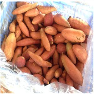 红薯蛋白质含量 红地薯蛋白质高吗？