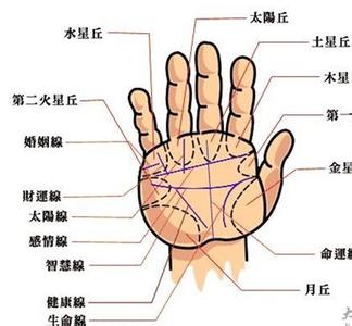 掌纹算命手纹算命图解 手纹算命图解（高清掌纹实物图解掌纹六线）