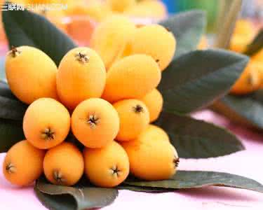 孕妇可以吃枇杷吗 孕妇吃枇杷有助于身体健康