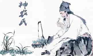 炎黄子孙是指炎帝和谁 炎帝为后世炎黄子孙做了哪些贡献?