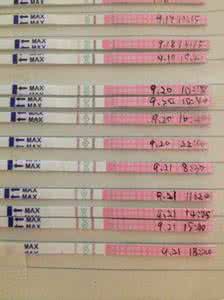 排卵试纸使用方法 排卵试纸正确使用方法 如何正确使用排卵试纸