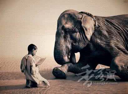 佛经因果故事大全真实 佛经故事：罗汉与大象