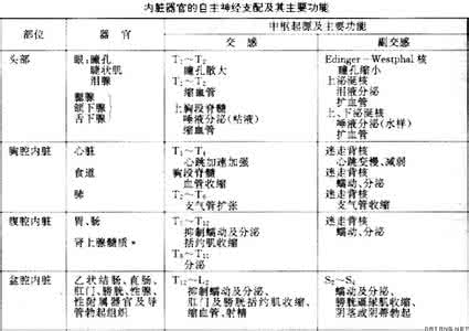 自主神经系统功能衰退 自主神经系统功能特点