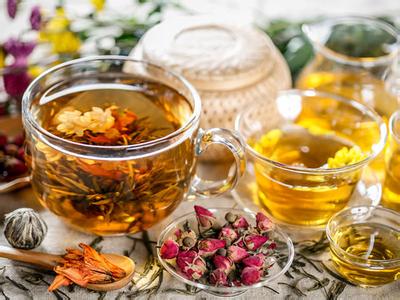 菊花茶哪些人不能喝 哪5种人是不能喝菊花茶