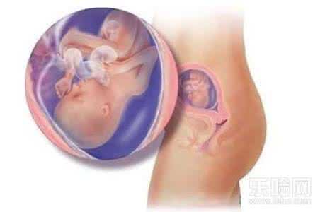 预产期准吗一般错几天 预产期准确吗