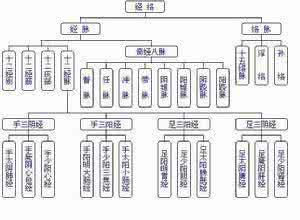 怎样打通全身经络 怎样理解经络