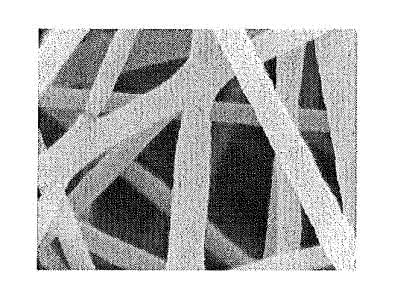 amorphous carbon electrospun Triple-coaxial electrospun amorphous carbon nanotubes with hollow graph