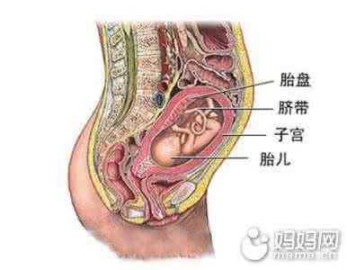 胎盘早熟 胎盘早熟有哪些危害