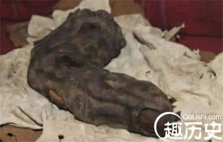 3000万年前的巨人之战 震惊！考古发现185万年前神秘巨人指骨