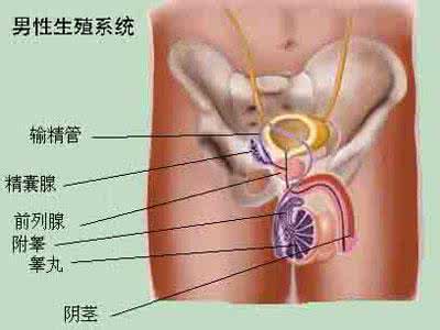 什么叫功能性子宫出血 什么叫功能性阳痿及其造成的原因