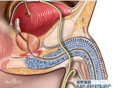 女性穿阴环图片视频 阴环是什么？能提升性快感吗