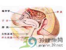 女性白带异常的原因 女性异常阴道流水是什么原因