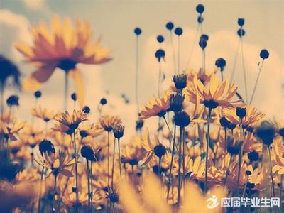 随性自然 淡泊人生 随性自然 淡泊自如