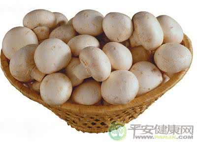 七大秘密武器 盘点蘑菇不为人知的5大“秘密武器”