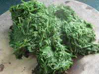 清明节包艾饺作文 清明节：艾饺和艾麦果的做法