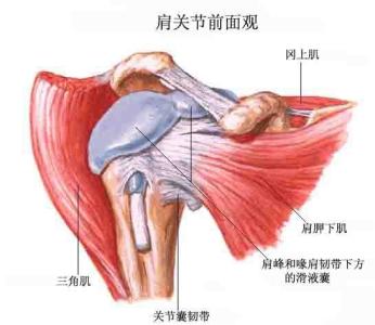 肩周炎健康教育 得了肩周炎怎么办？教你如何来应对！