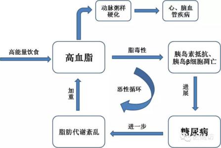 怎么样治疗血脂高 血脂高如何治疗 血脂高怎么治疗