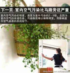 净化室内空气的植物 【家庭养花】净化室内空气20种最佳植物