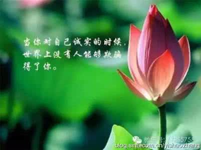 新浪博客 人生感悟新浪博客