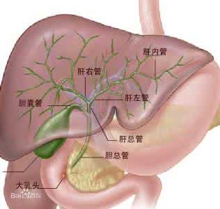 肝胆肾结石与溶石疗法 《肝胆肾结石与溶石疗法》