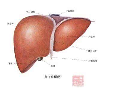 肝病 危险信号 皮肤上的肝病信号竟是这样