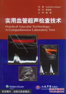 血管超声检查指南 血管超声检查指南-下