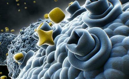 人体能量的供给ppt 这货供给癌细胞75%能量，千万别多吃，否则后悔晚矣！