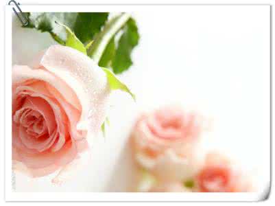 心灵话语 20条洗涤心灵的话语