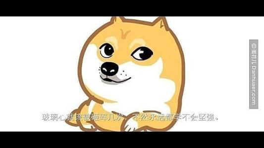 亮瞎我的钛合金狗眼 亮瞎我的钛合金狗眼 这些神回复，亮瞎了你的眼