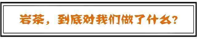 武夷岩茶 武夷岩茶到底做了什么？让大家毫无防备的爱上它！