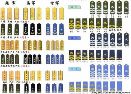 兵王戴上最高军衔 军衔 公务员、军衔