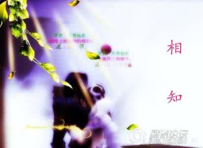 相守陪伴的毛笔字 权倾天下，陪你相守到天涯