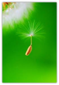 平平淡淡一生陪你到老 淡淡，一生