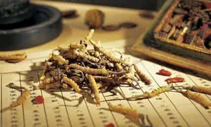 补肾中成药哪个效果好 补肾效果好的食物 补肾中药哪些效果好？