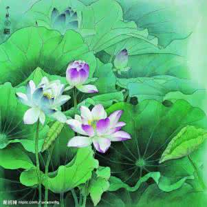 像鱼儿在你的荷塘内涵 像鱼儿在你的荷塘 内涵 我像只鱼儿在你的荷塘什么意思