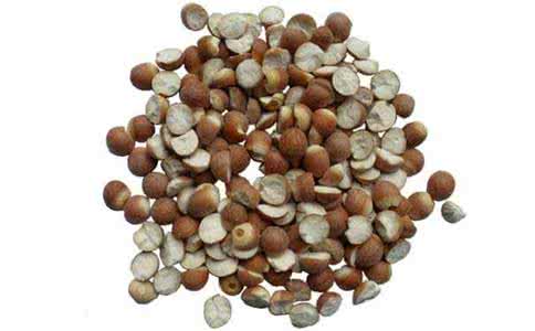 芡实的功效与作用图片 芡实图片 芡实图片_芡实的功效与作用