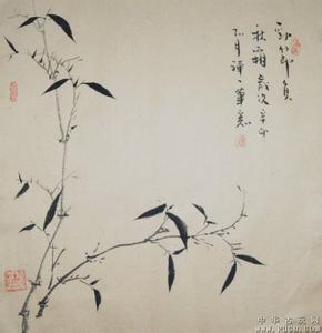 一日禅集锦经典 一日禅集锦（774）