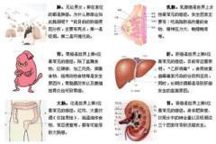 肝胆胰脾肾彩超 (全是精华)肝/胆/肾/癌症【空间站】 3