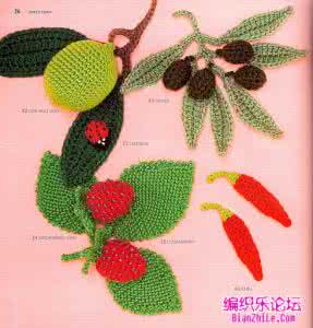 网格花草钩针图解 花草昆虫钩织图解
