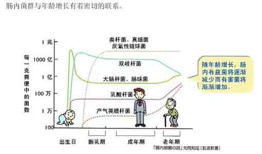 品牌构建要素 哪几大要素可以构建人健康长寿？